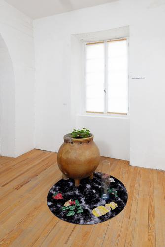 vue Chopy & Tornambe