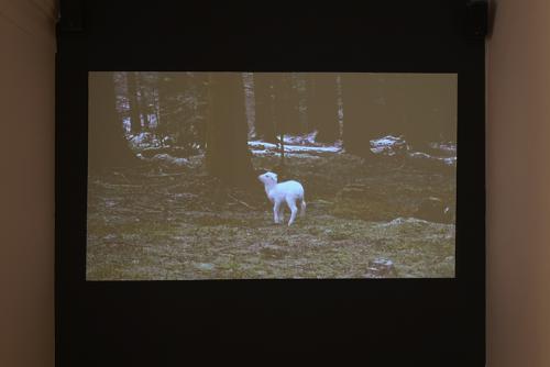 vue oeuvre Manon Simons