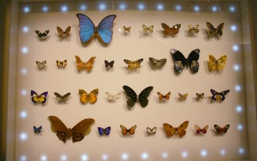 Vue de l'exposition 3