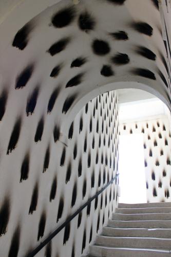 vue création in-situ