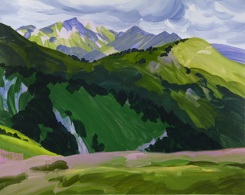 des forêts, au loin la montagne